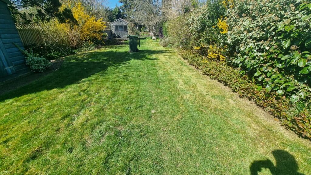 A well-maintained grassy garden with hedges on both sides, a small shed at the back, and a green wheelie bin near the center. A person's shadow is visible in the foreground.