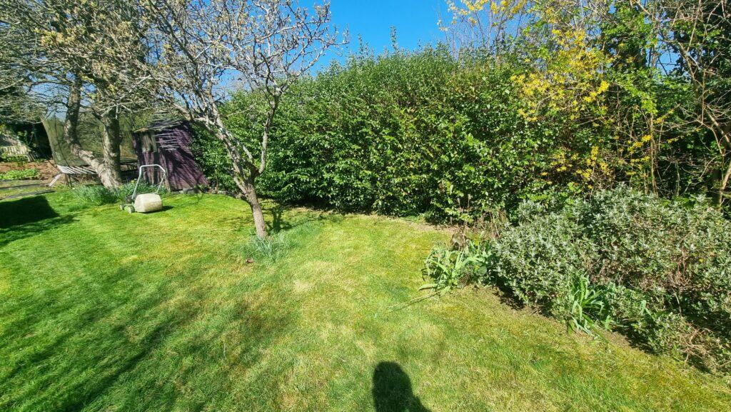 A garden with mowed grass, a tree, green bushes, a small shed, and a lawn mower near the back left. The shadow of the photographer is visible in the foreground.