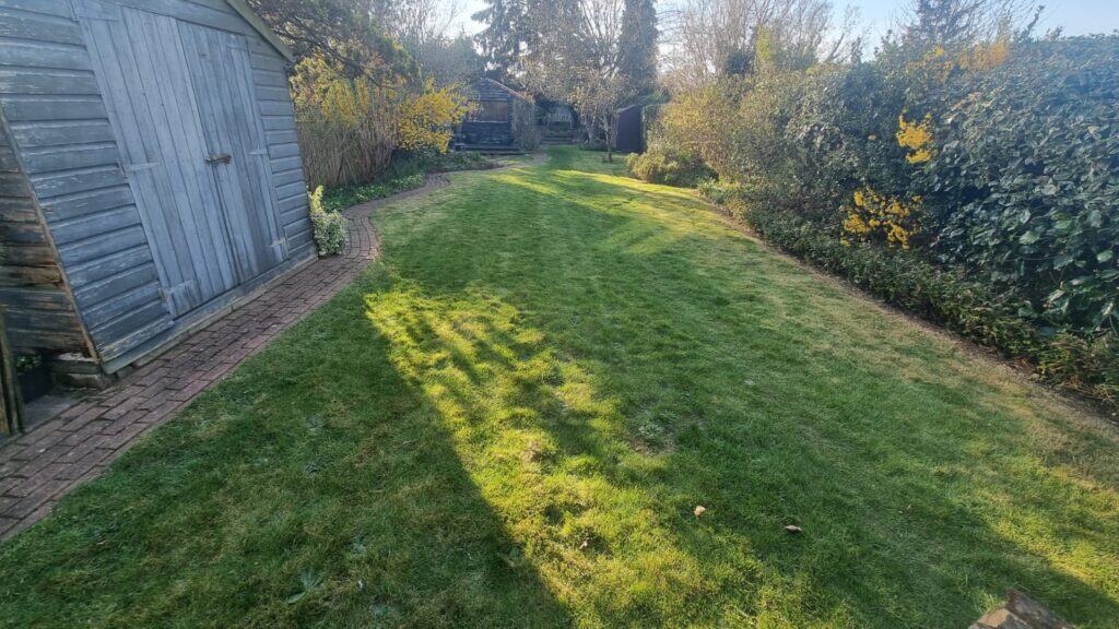 A garden with a mowed lawn, bordered by bushes and trees, a wooden shed on the left, and a brick path running alongside the shed.