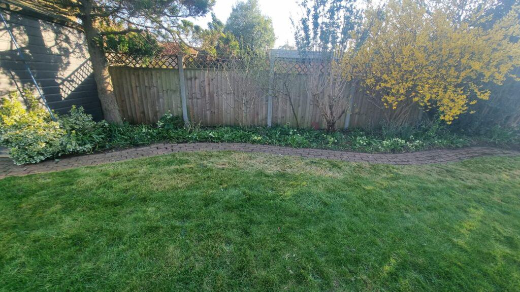 A garden with a green lawn, a curved brick path, and a wooden fence lined with various shrubs, including a yellow-flowering bush on the right.