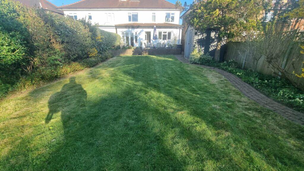 A well-maintained grassy backyard with a stone path on the right, bordered by hedges, leading to a white house with a patio and outdoor furniture. A shadow is visible on the lawn.