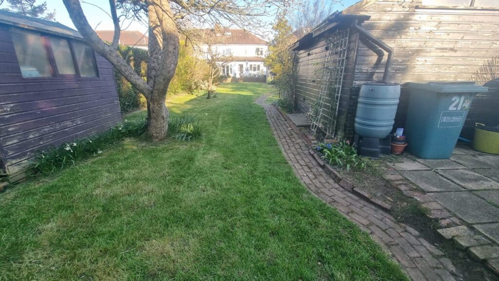 A grassy backyard with a tree, two wooden sheds, garbage bins, a water barrel, a brick path, and a house visible in the background.
